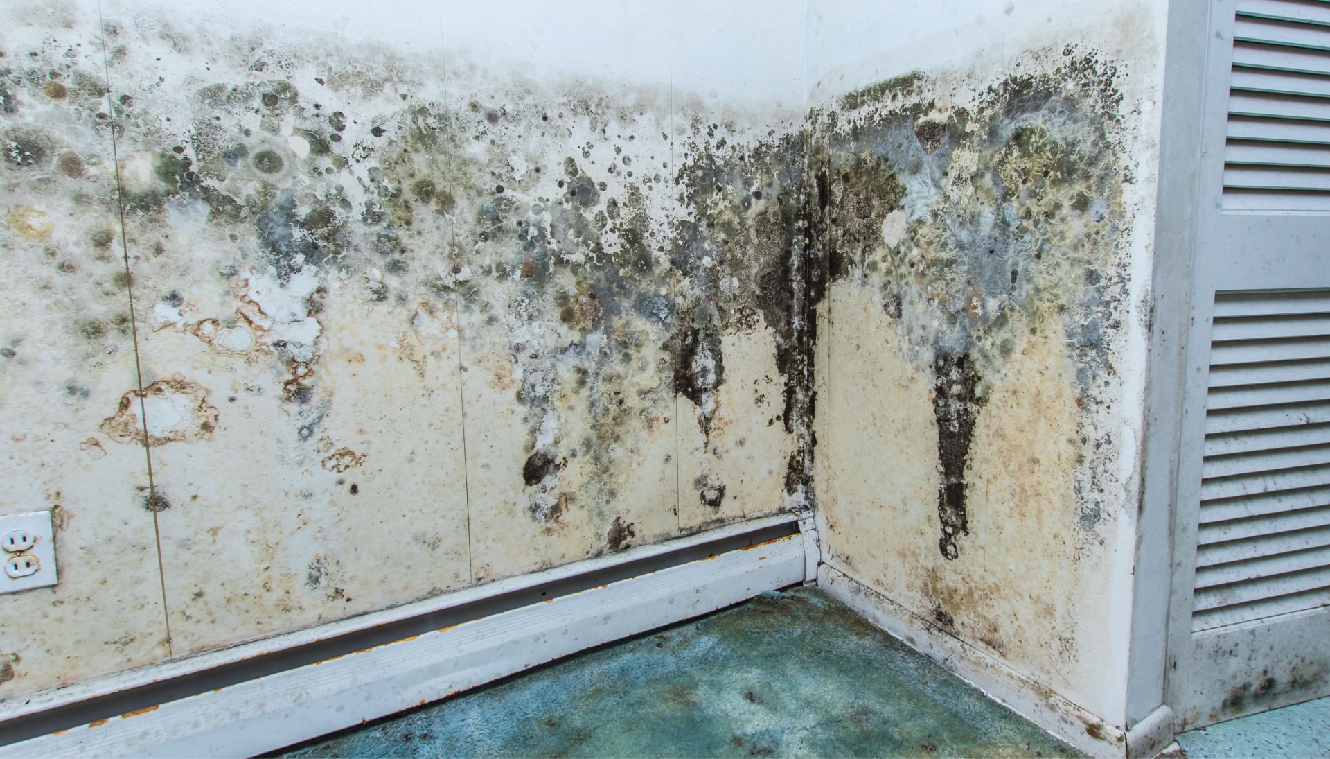 Mold Damage Odor Control Services in Virginia Beach