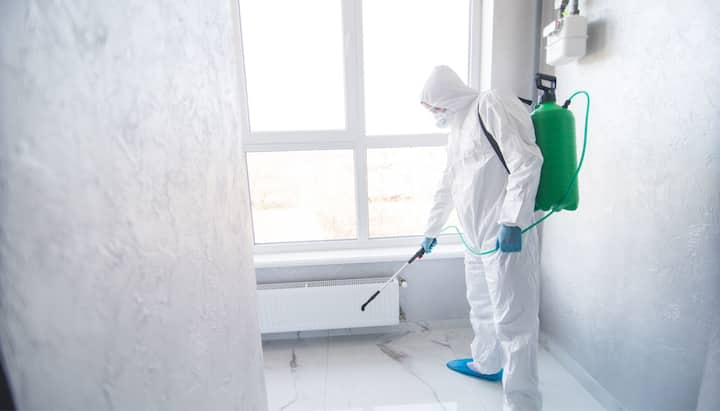 Mold Inspection Services in Virginia Beach